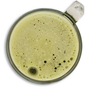 Organic Ceremonial Matcha  Matcha Direct – MATCHA DIRECT